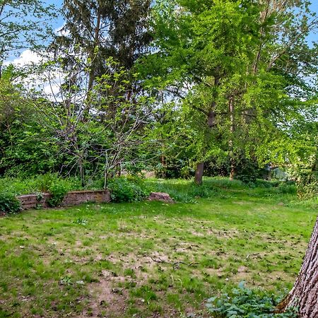 Altstadt Apartment Am Wasser Mit Parkplatz Und Riesigem Garten Бад Кройцнах Екстериор снимка