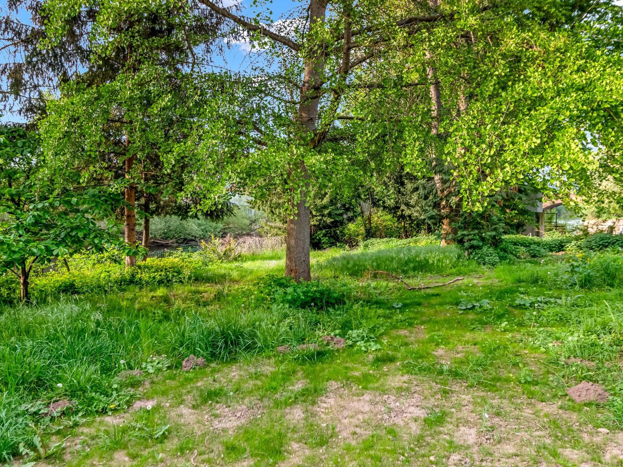 Altstadt Apartment Am Wasser Mit Parkplatz Und Riesigem Garten Бад Кройцнах Екстериор снимка